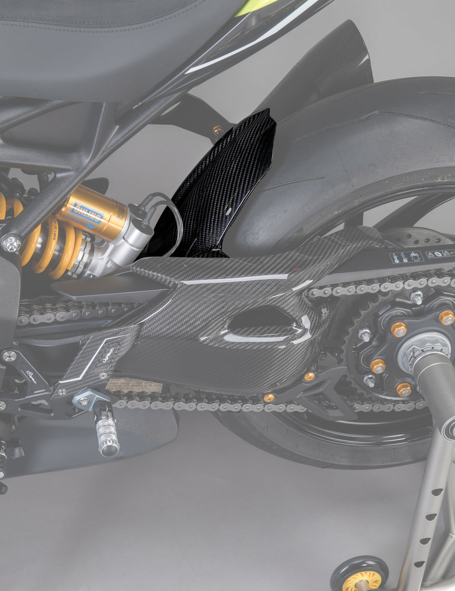 LighTech - ドライカーボン リアマッドガード (艶あり) SPEED TRIPLE