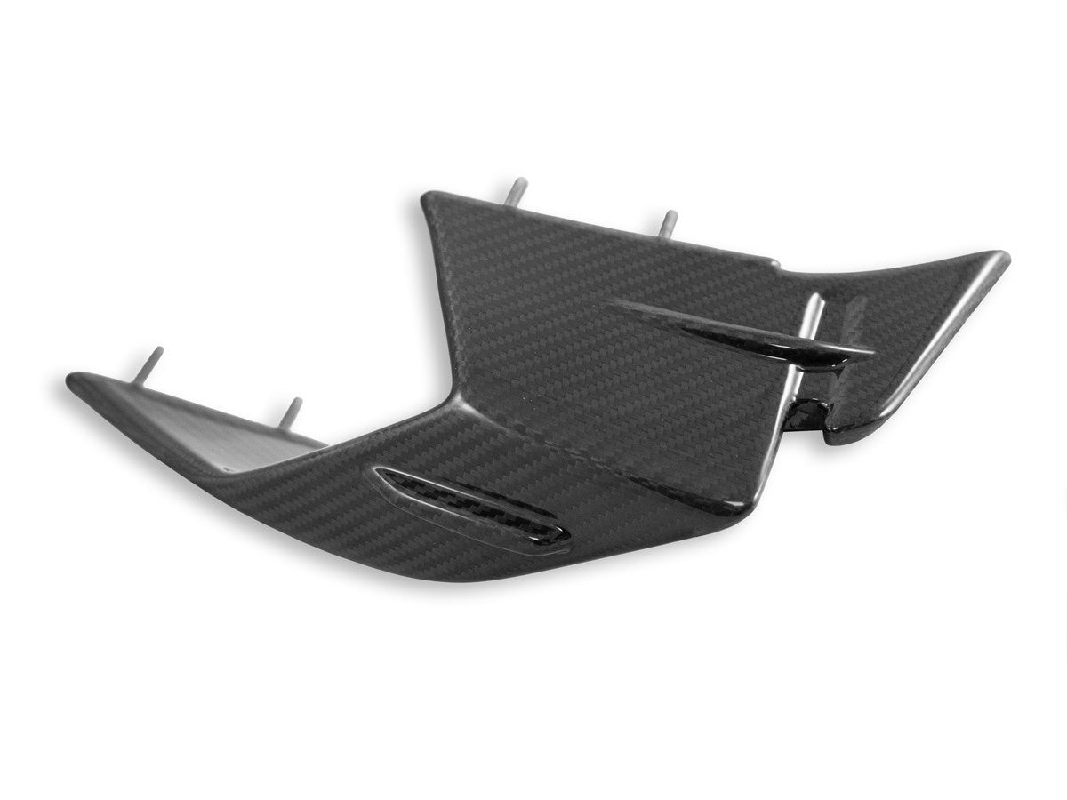 S1000RR K67 2019以降 専用ドライカーボンウイングレット RPM