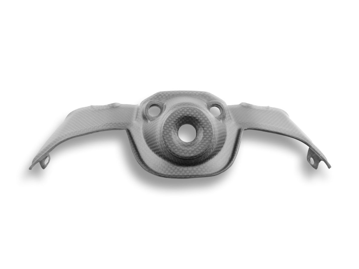 DUCABIKE (DBK) - ドライカーボン キーカバー (艶なし) PANIGALE V4