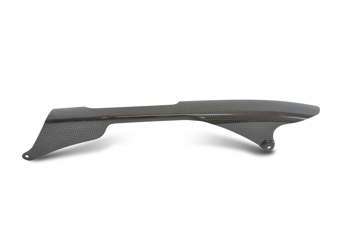 LighTech - ドライカーボン チェーンカバー (艶あり) ZX-6R / 636 '09